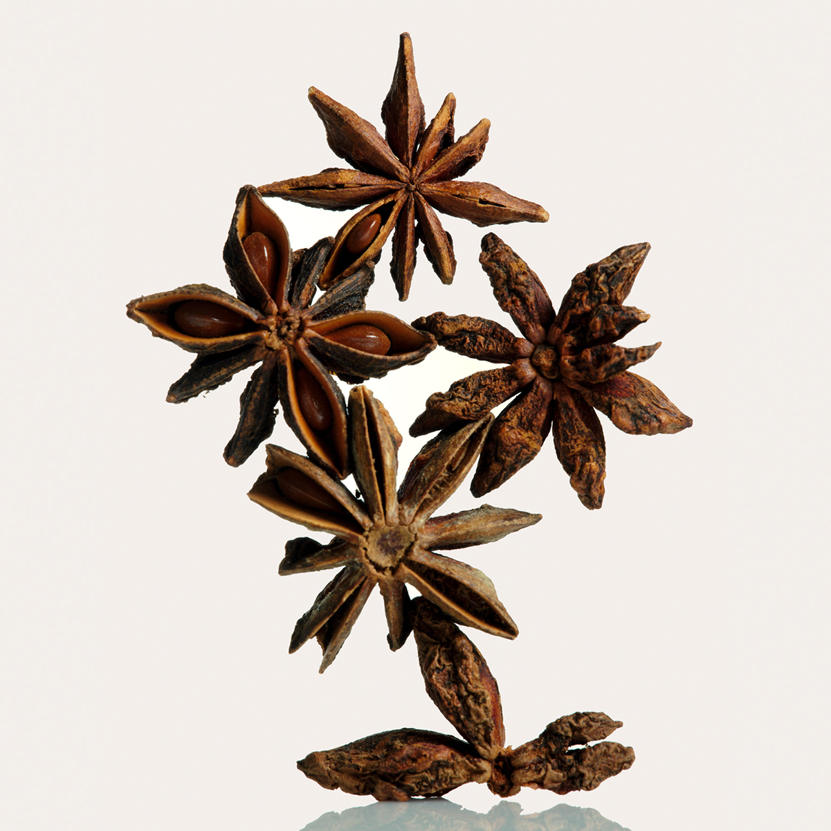 Ana Domínguez Studio: Cloves, Nutmeg, Cinnamon, Star Anise (Fig. 2)