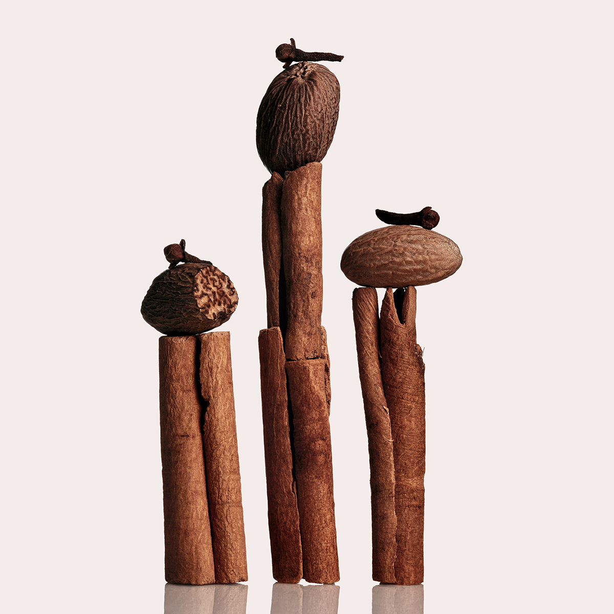 Ana Domínguez Studio: Cloves, Nutmeg, Cinnamon, Star Anise (Fig. 14)