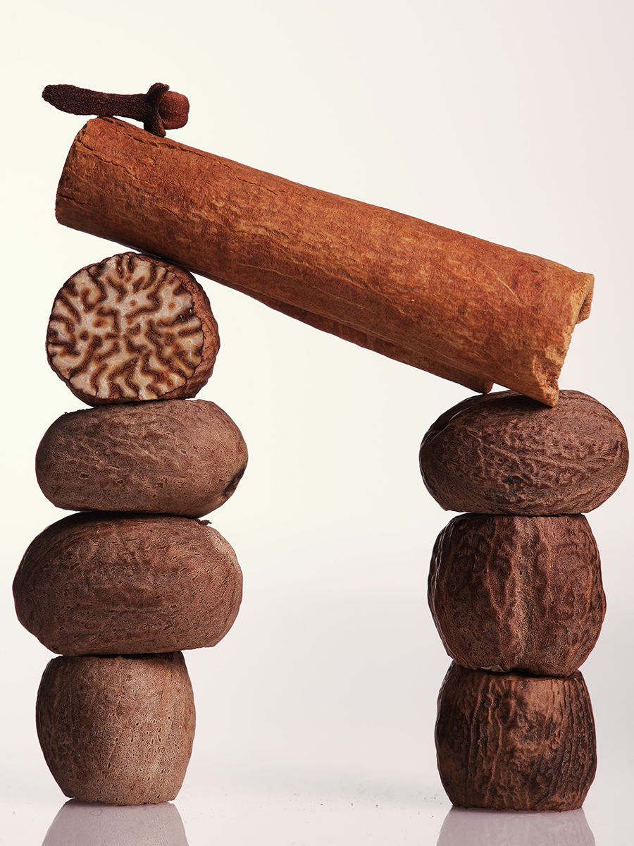 Ana Domínguez Studio: Cloves, Nutmeg, Cinnamon, Star Anise (Fig. 3)