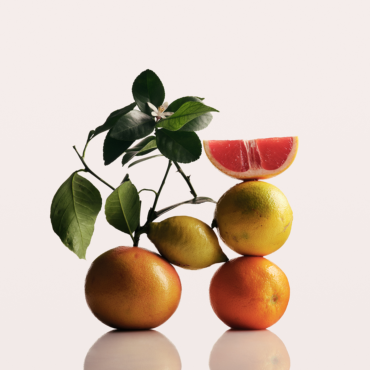 Ana Domínguez Studio: The Alchemist Atelier Still Lifes (Fig. 11)