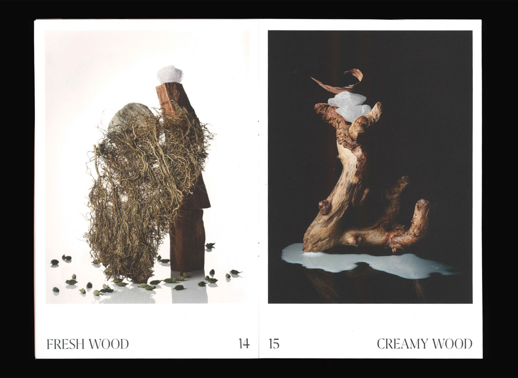 Ana Domínguez Studio: The Alchemist Atelier Still Lifes (Fig. 4)