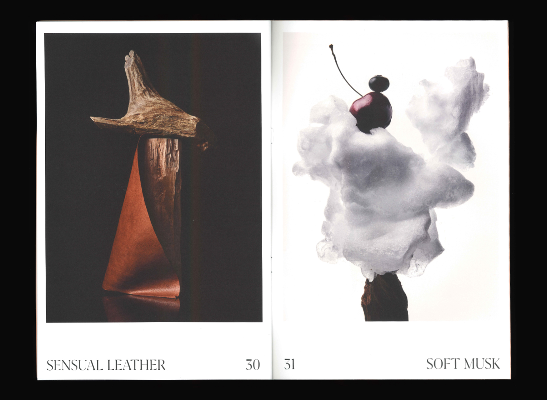 Ana Domínguez Studio: The Alchemist Atelier Still Lifes (Fig. 6)