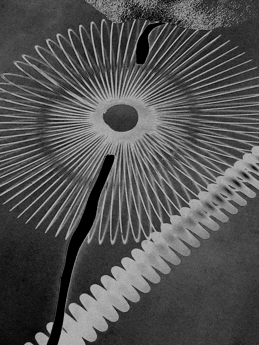 Ana Domínguez Studio: Resonances x Dream Magazine (Fig. 5)