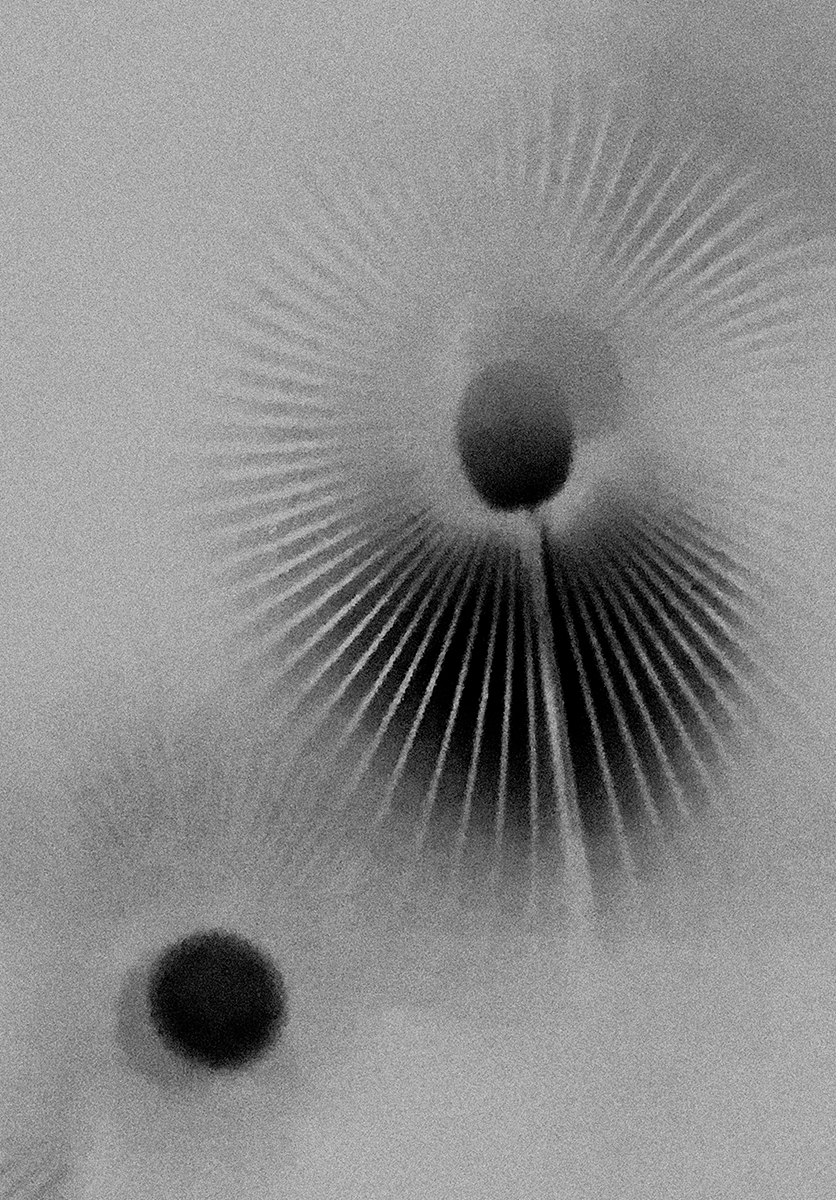 Ana Domínguez Studio: Resonances x Dream Magazine (Fig. 2)