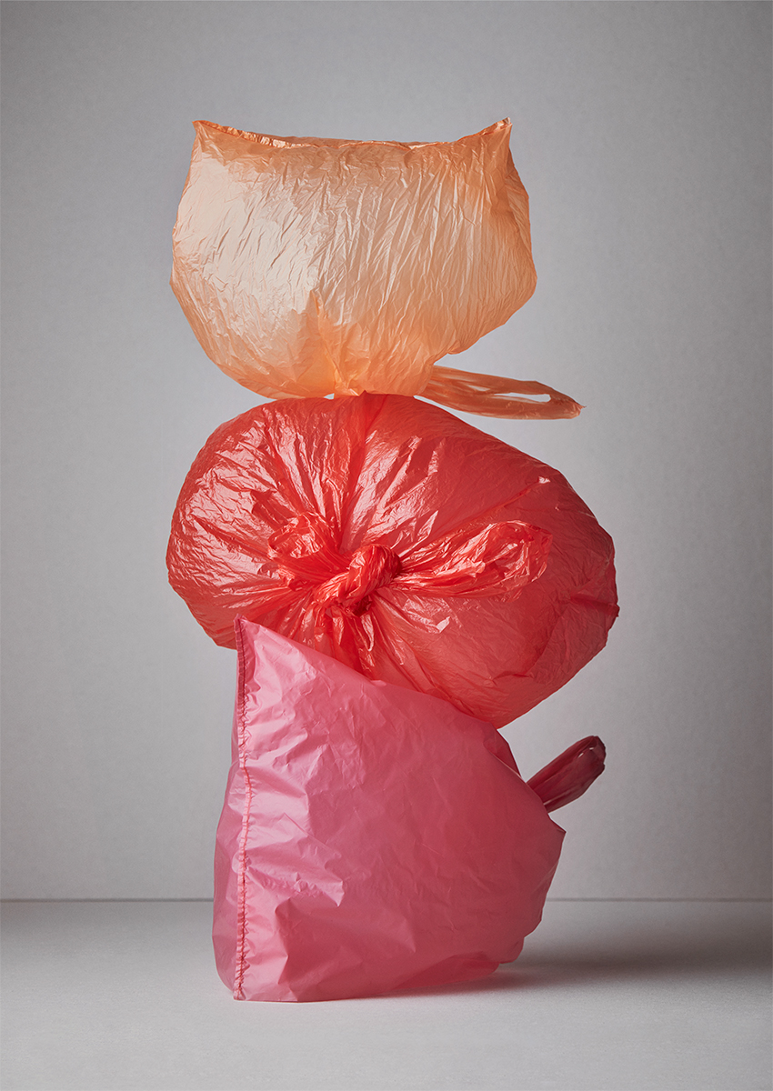 Ana Domínguez Studio: Amulets X The Plant (Fig. 2)