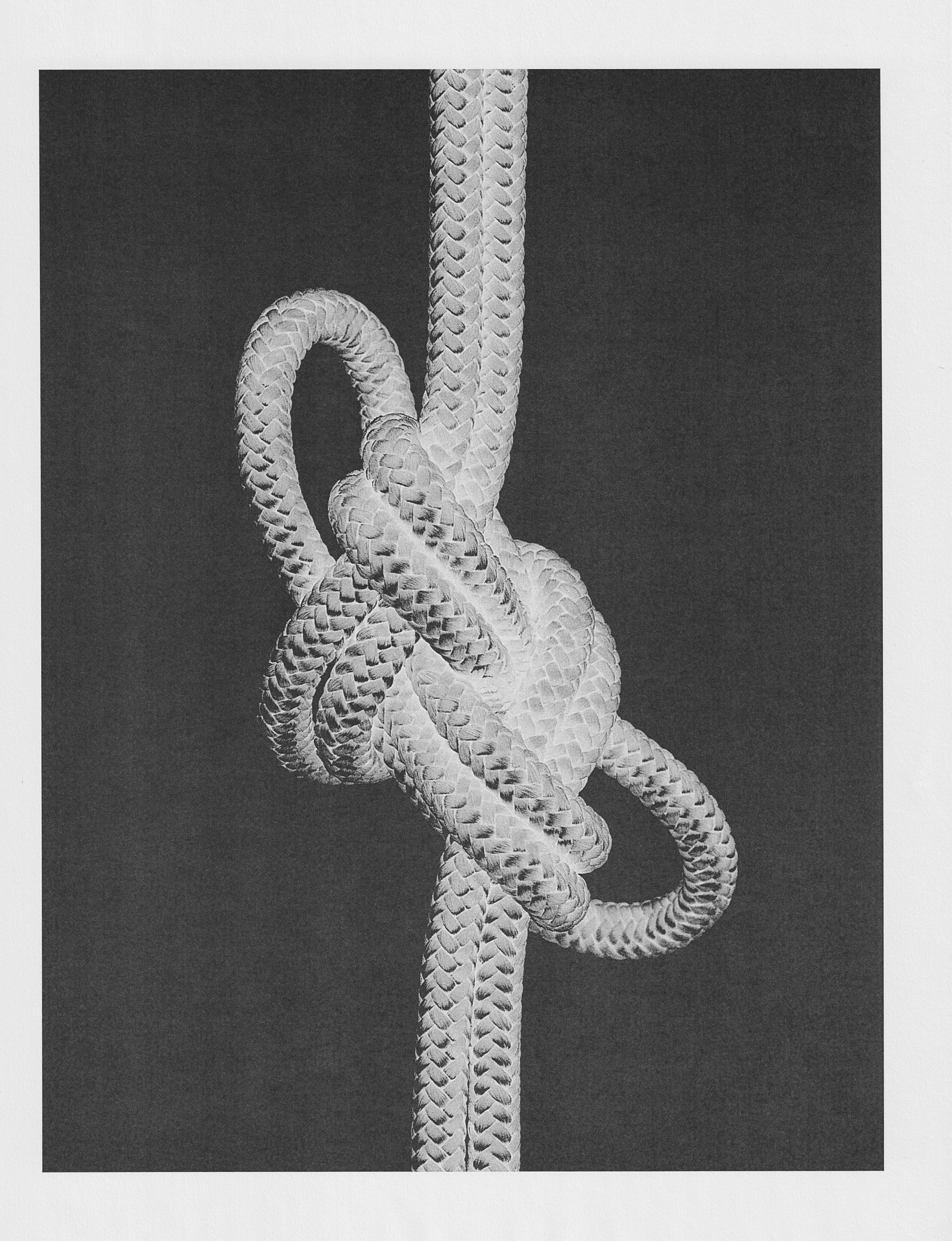 Ana Domínguez Studio: Amulets X The Plant (Fig. 2)