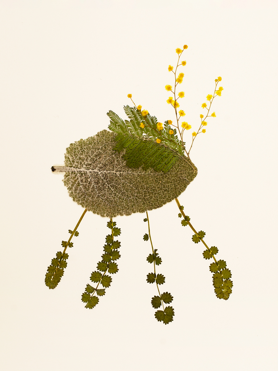 Ana Domínguez Studio: Birds x The Plant (Fig. 4)