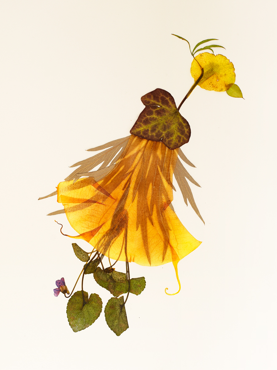 Ana Domínguez Studio: Birds x The Plant (Fig. 7)
