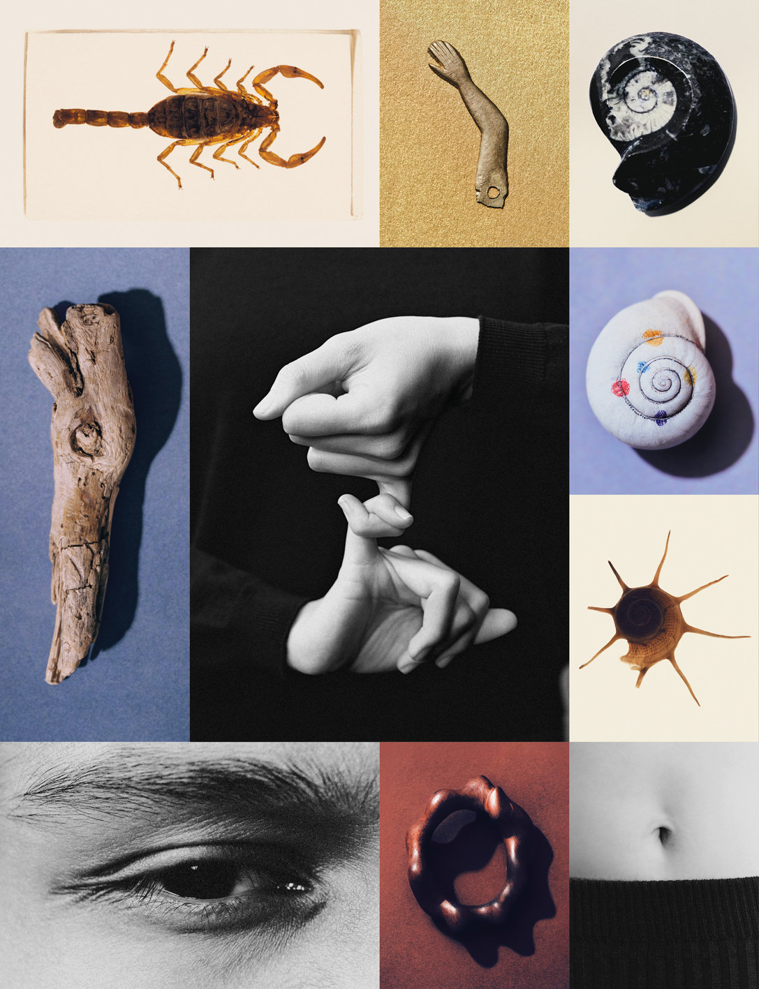 Ana Domínguez Studio: Amulets X The Plant (Fig. 29)