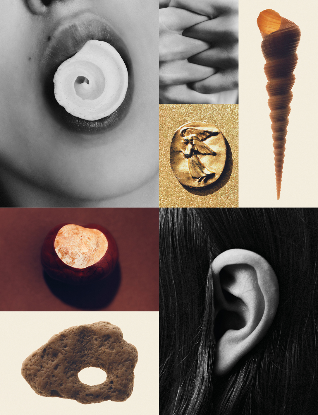 Ana Domínguez Studio: Amulets X The Plant (Fig. 30)