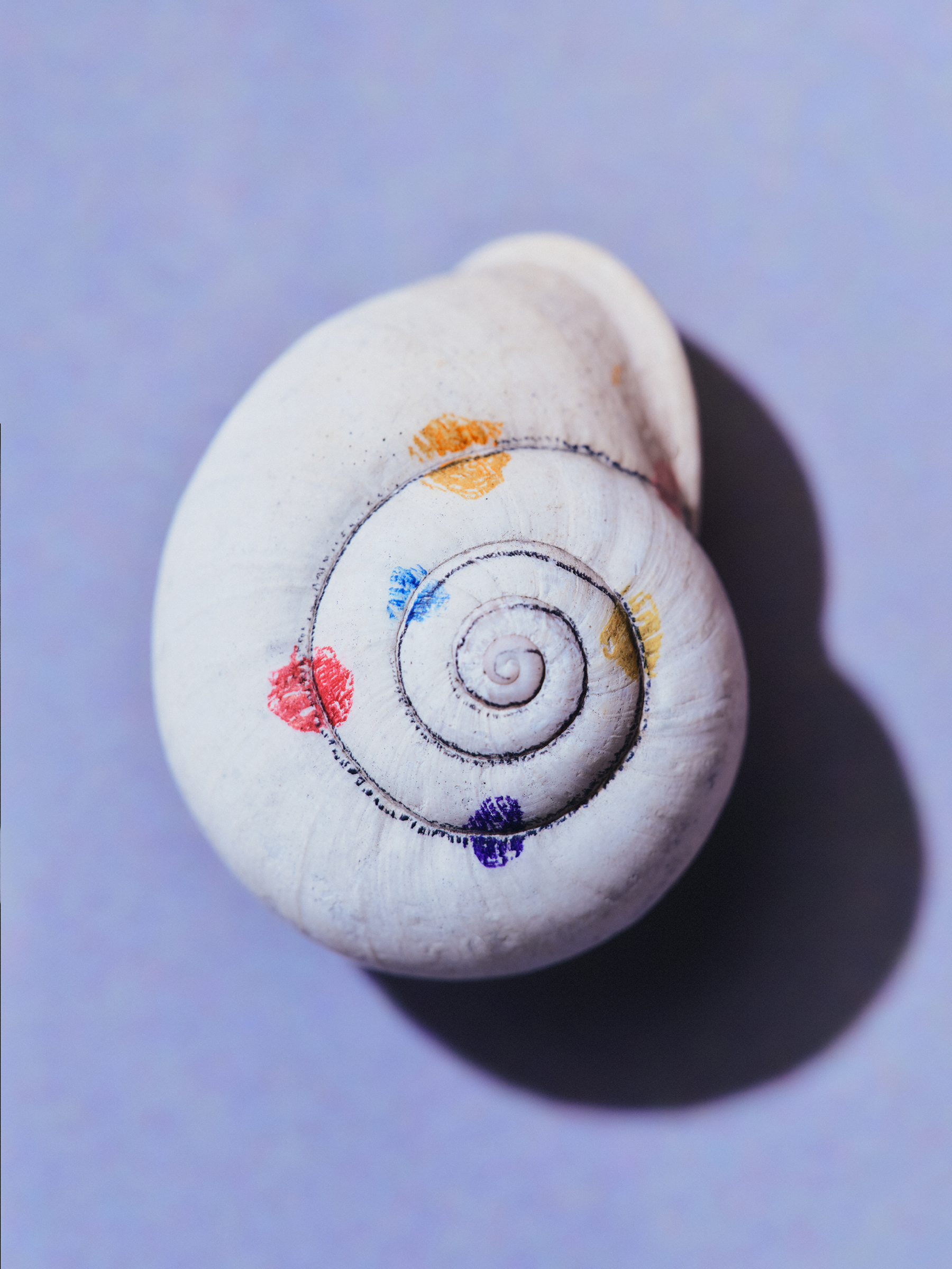 Ana Domínguez Studio: Amulets X The Plant (Fig. 12)