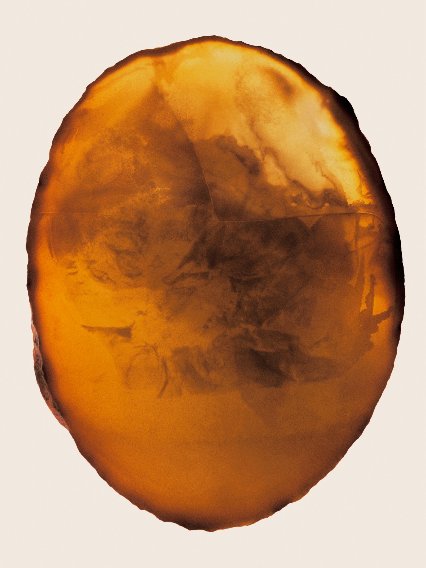Ana Domínguez Studio: Amulets X The Plant (Fig. 3)