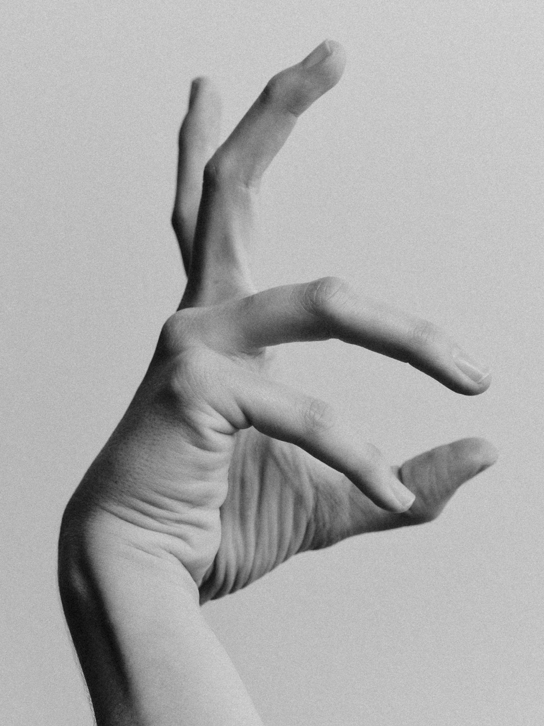Ana Domínguez Studio: Amulets X The Plant (Fig. 6)