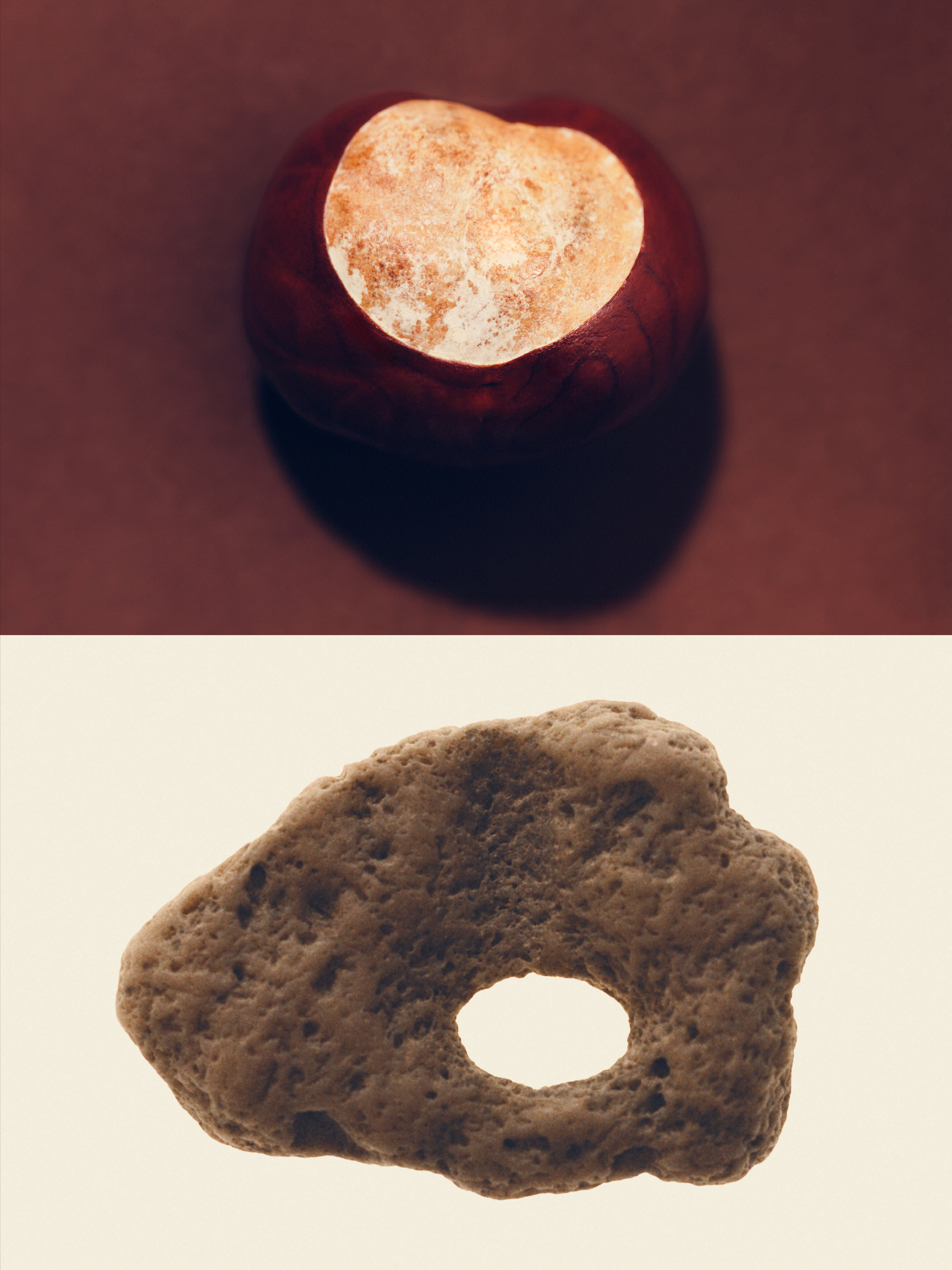 Ana Domínguez Studio: Amulets X The Plant (Fig. 10)