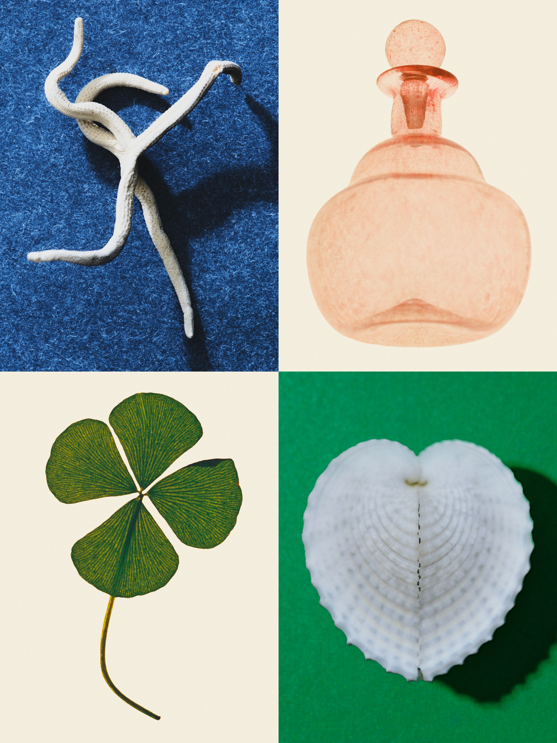Ana Domínguez Studio: Amulets X The Plant (Fig. 27)