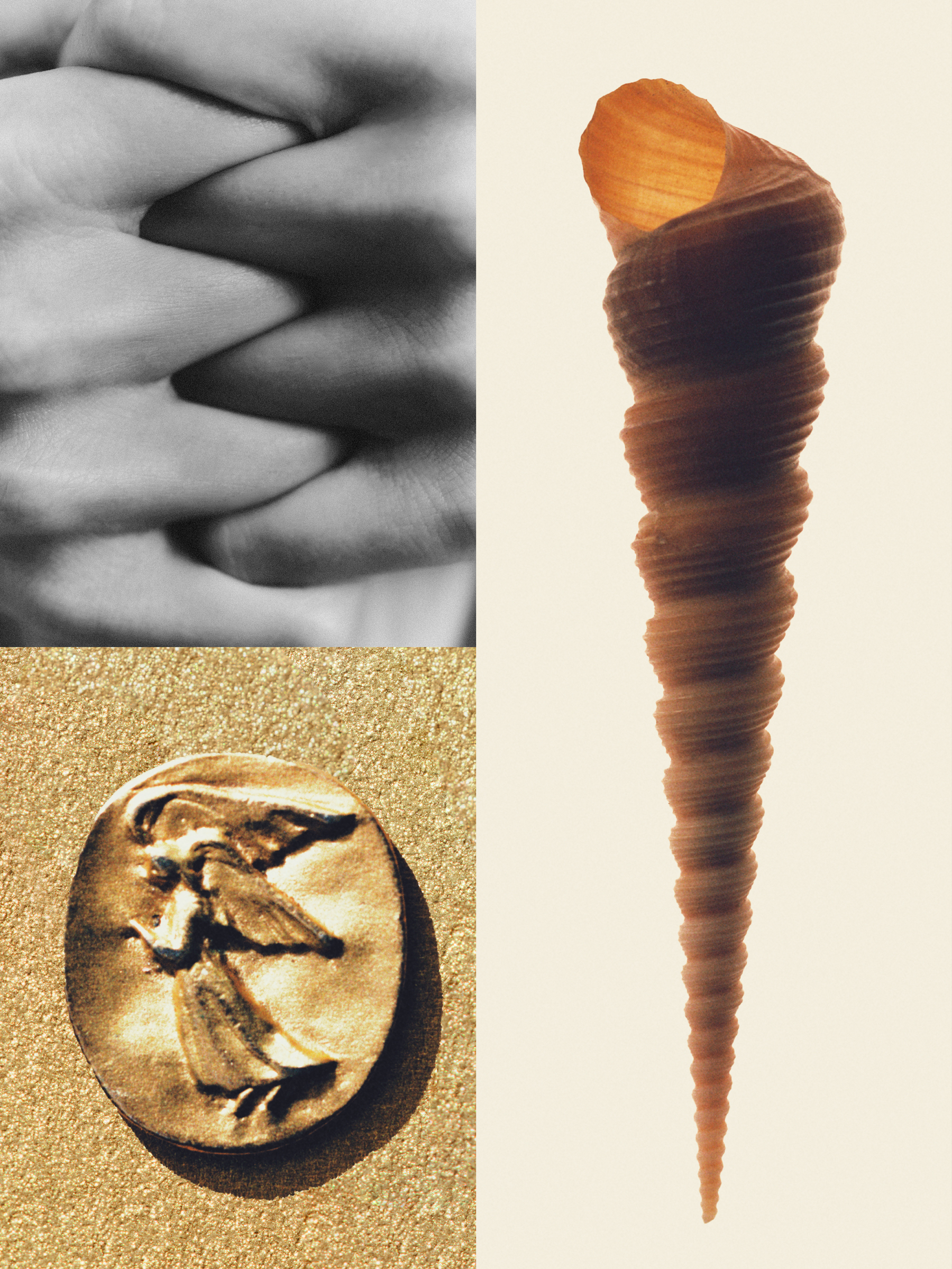 Ana Domínguez Studio: Amulets X The Plant (Fig. 18)