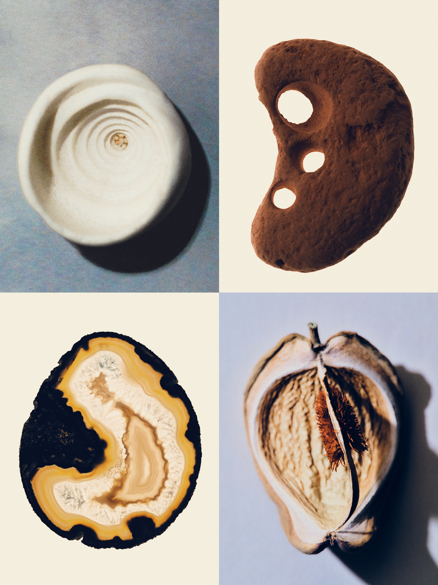 Ana Domínguez Studio: Amulets X The Plant (Fig. 20)