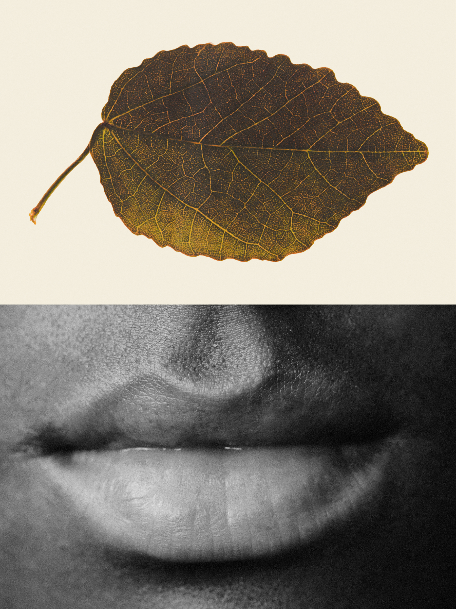 Ana Domínguez Studio: Amulets X The Plant (Fig. 25)
