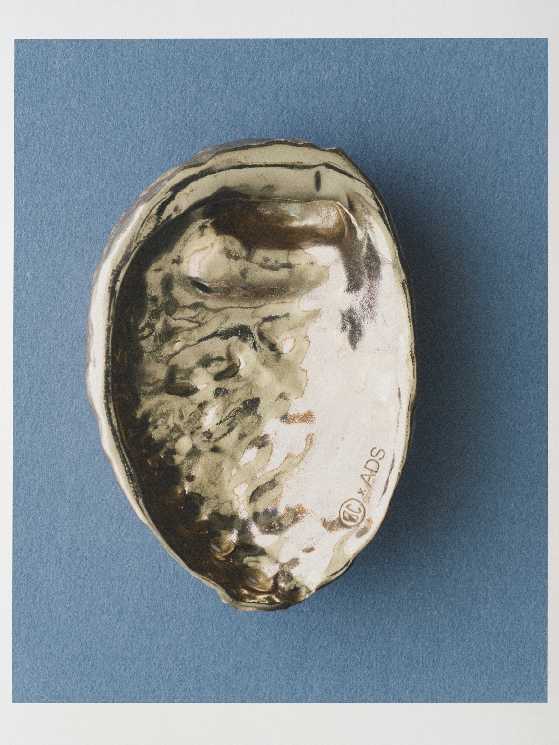 Ana Domínguez Studio: Abalone X Acierta (Fig. 7)