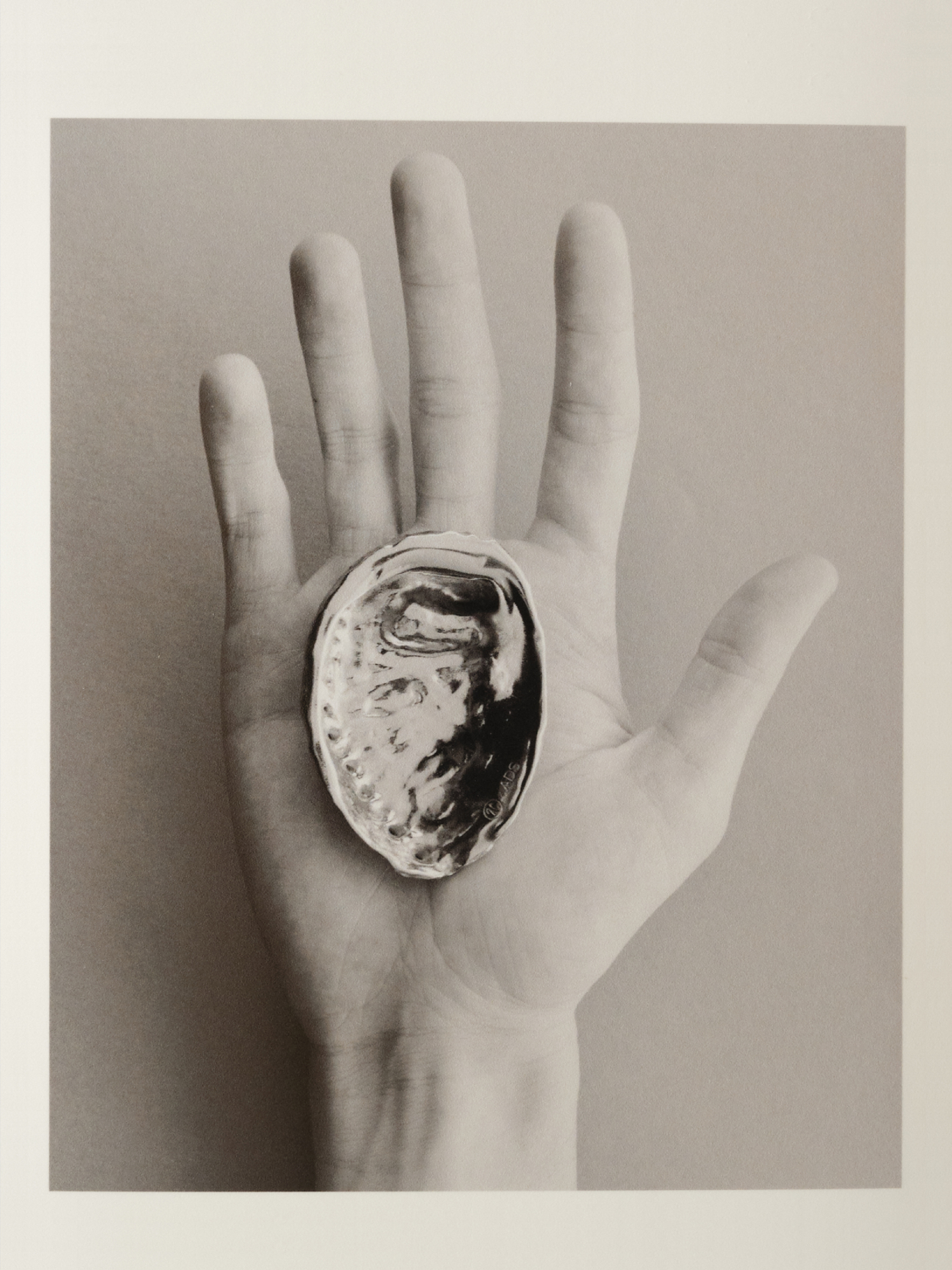 Ana Domínguez Studio: Abalone X Acierta (Fig. 13)