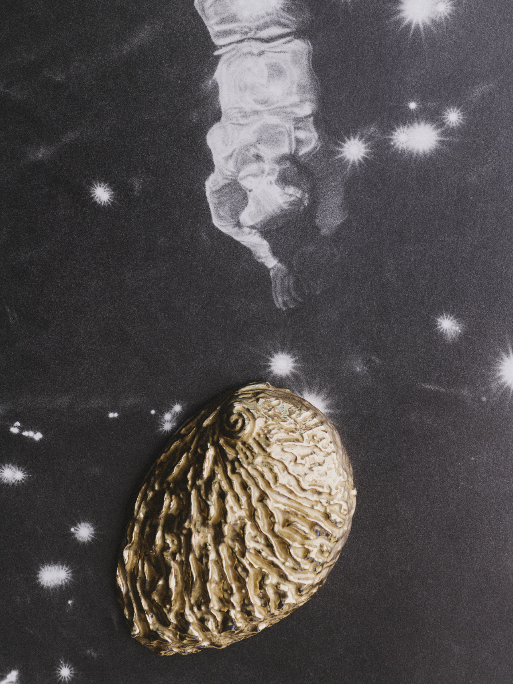 Ana Domínguez Studio: Abalone X Acierta (Fig. 15)