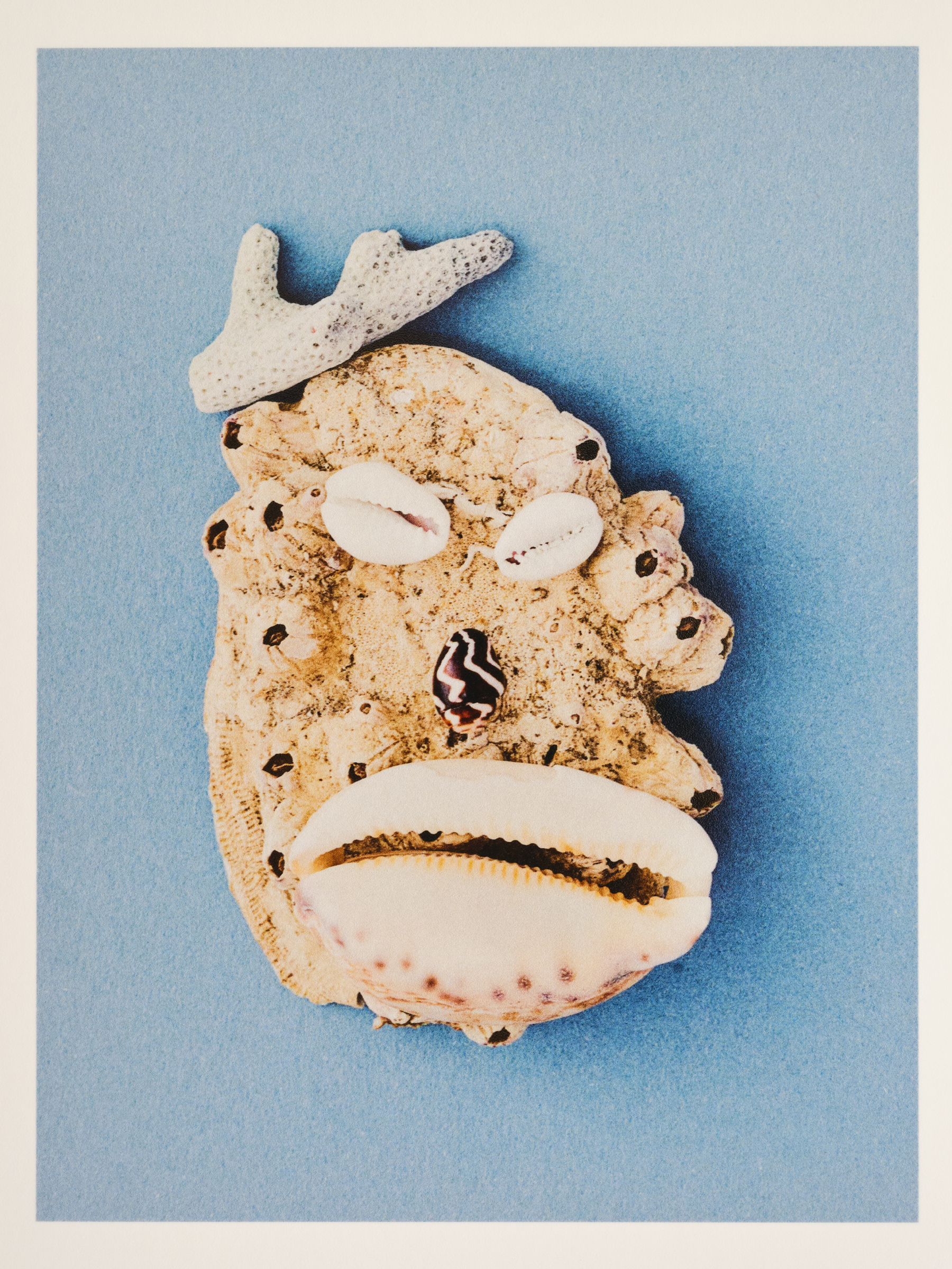 Ana Domínguez Studio: Abalone X Acierta (Fig. 17)