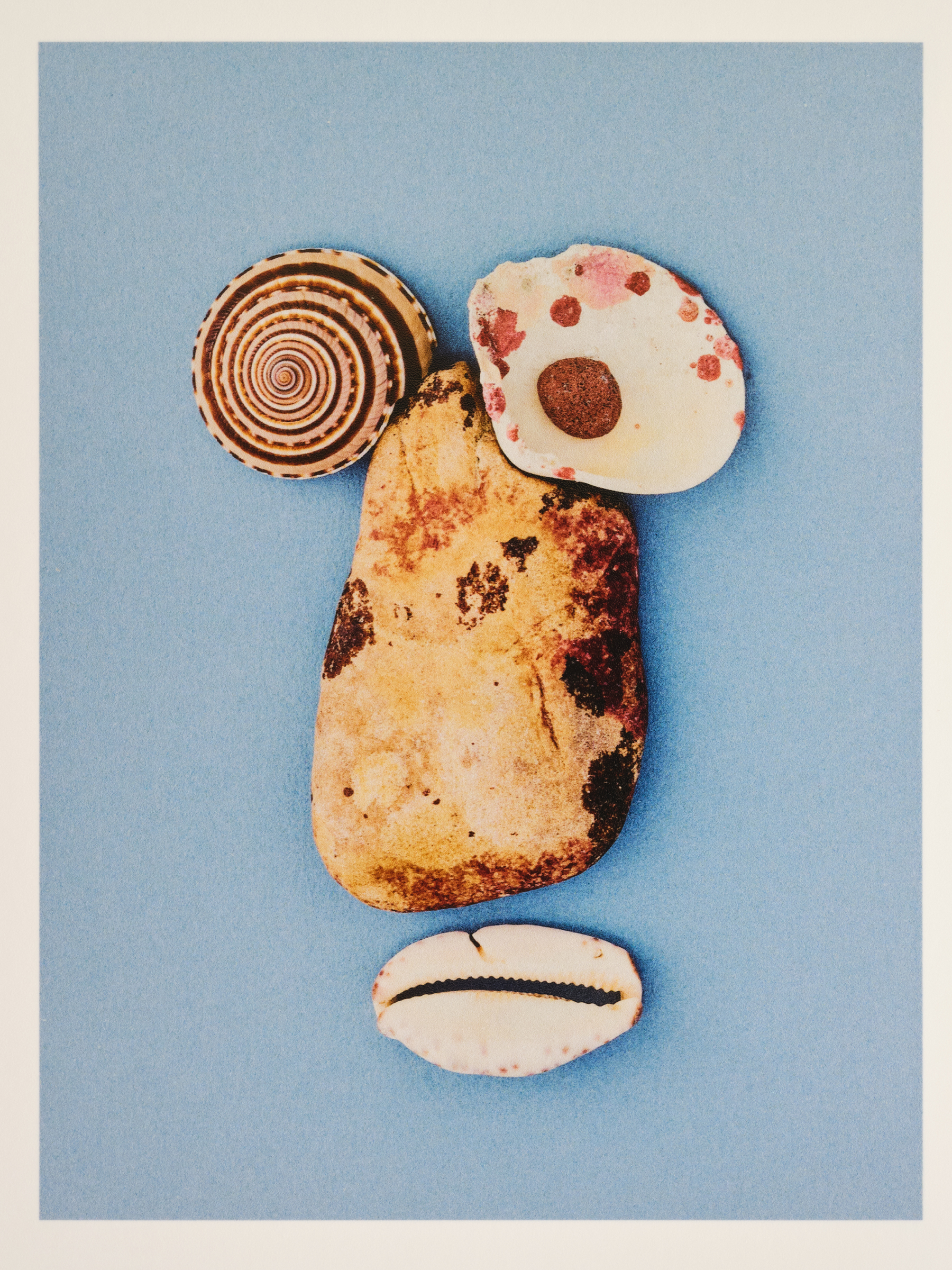 Ana Domínguez Studio: Abalone X Acierta (Fig. 20)