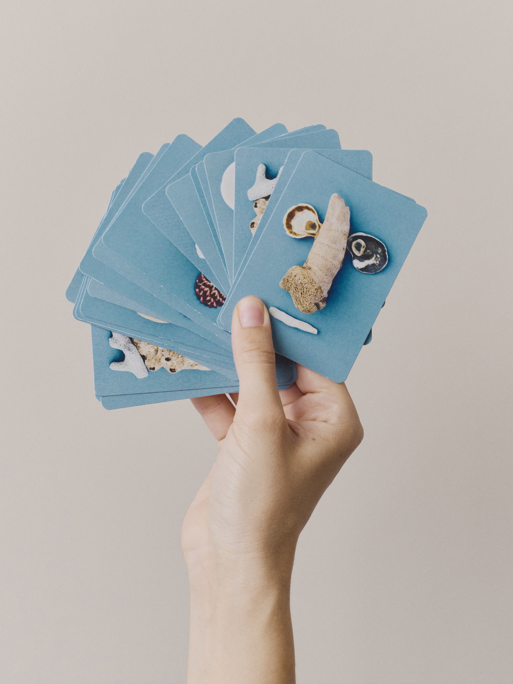 Ana Domínguez Studio: Abalone X Acierta (Fig. 22)