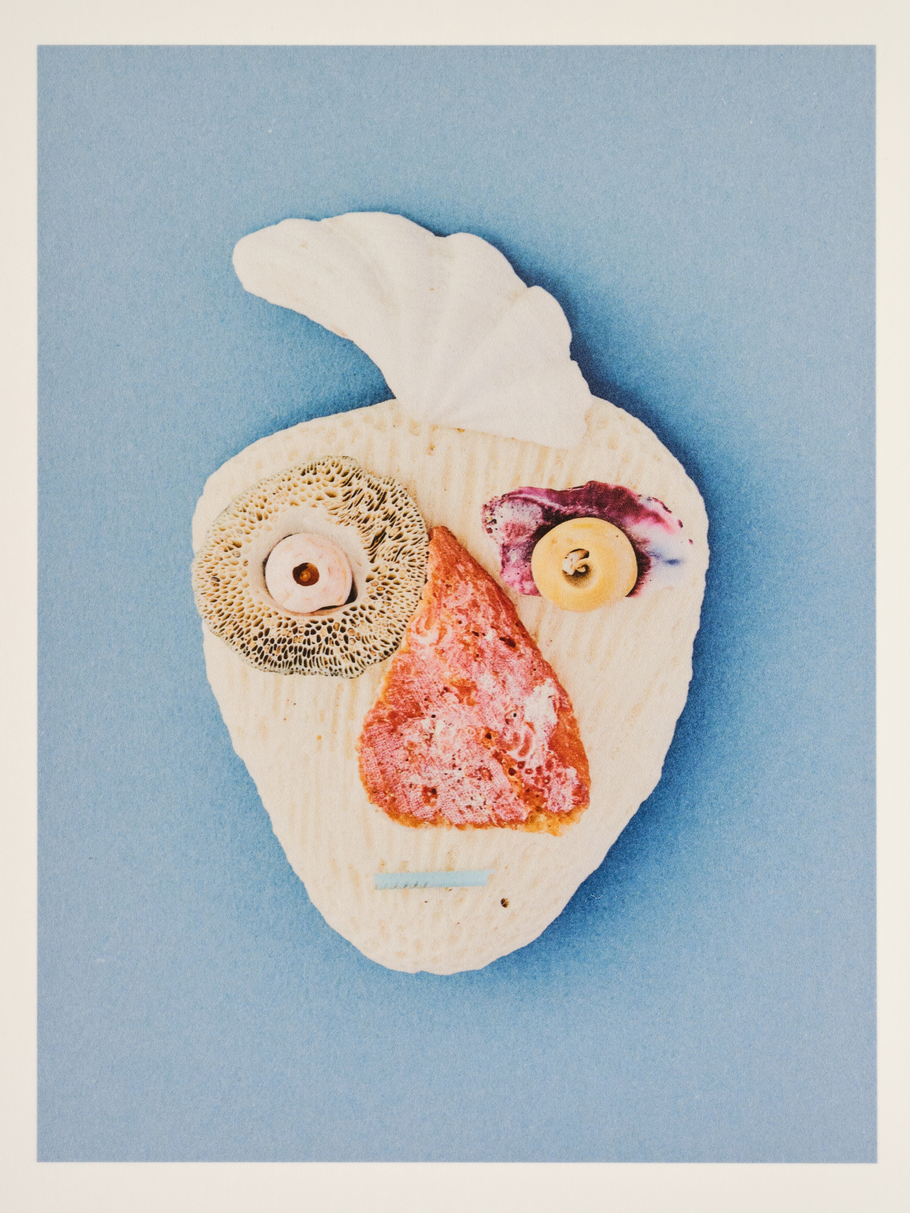 Ana Domínguez Studio: Abalone X Acierta (Fig. 25)