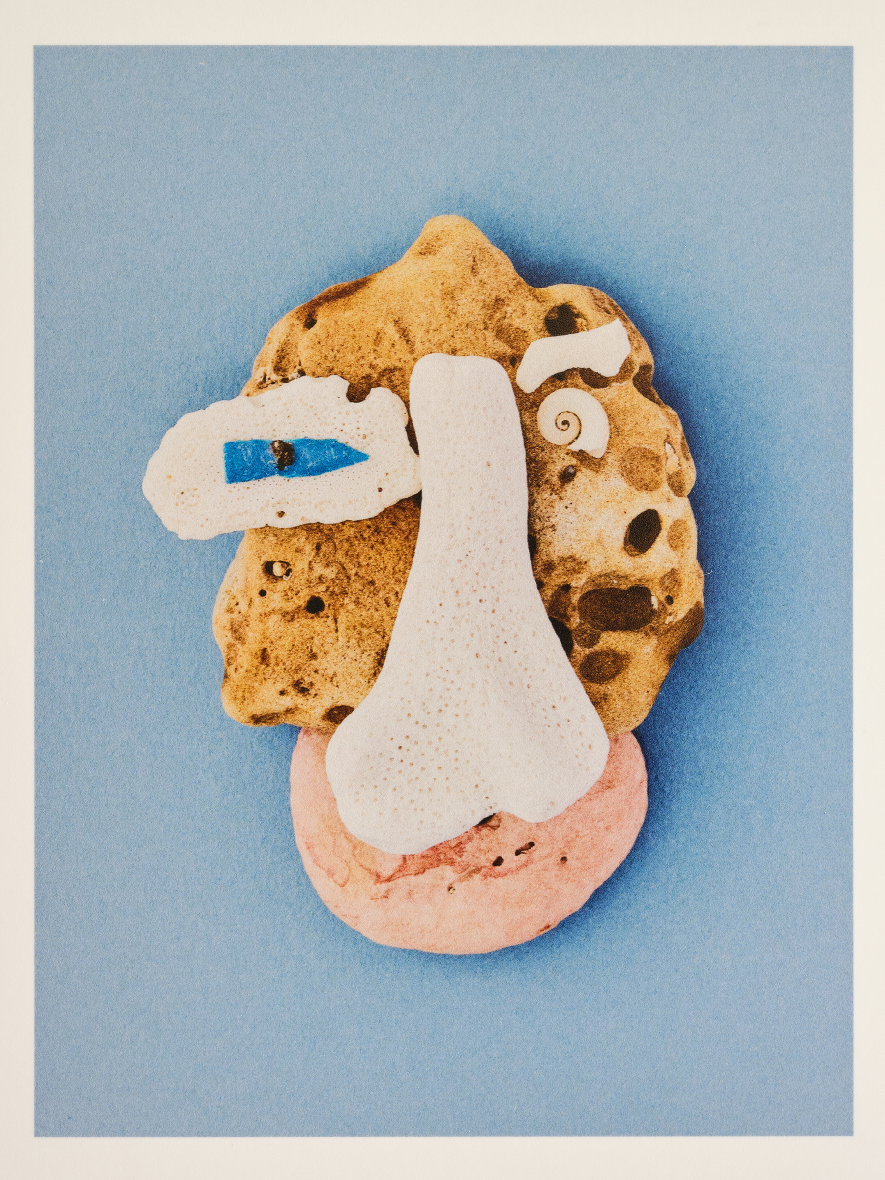 Ana Domínguez Studio: Abalone X Acierta (Fig. 26)