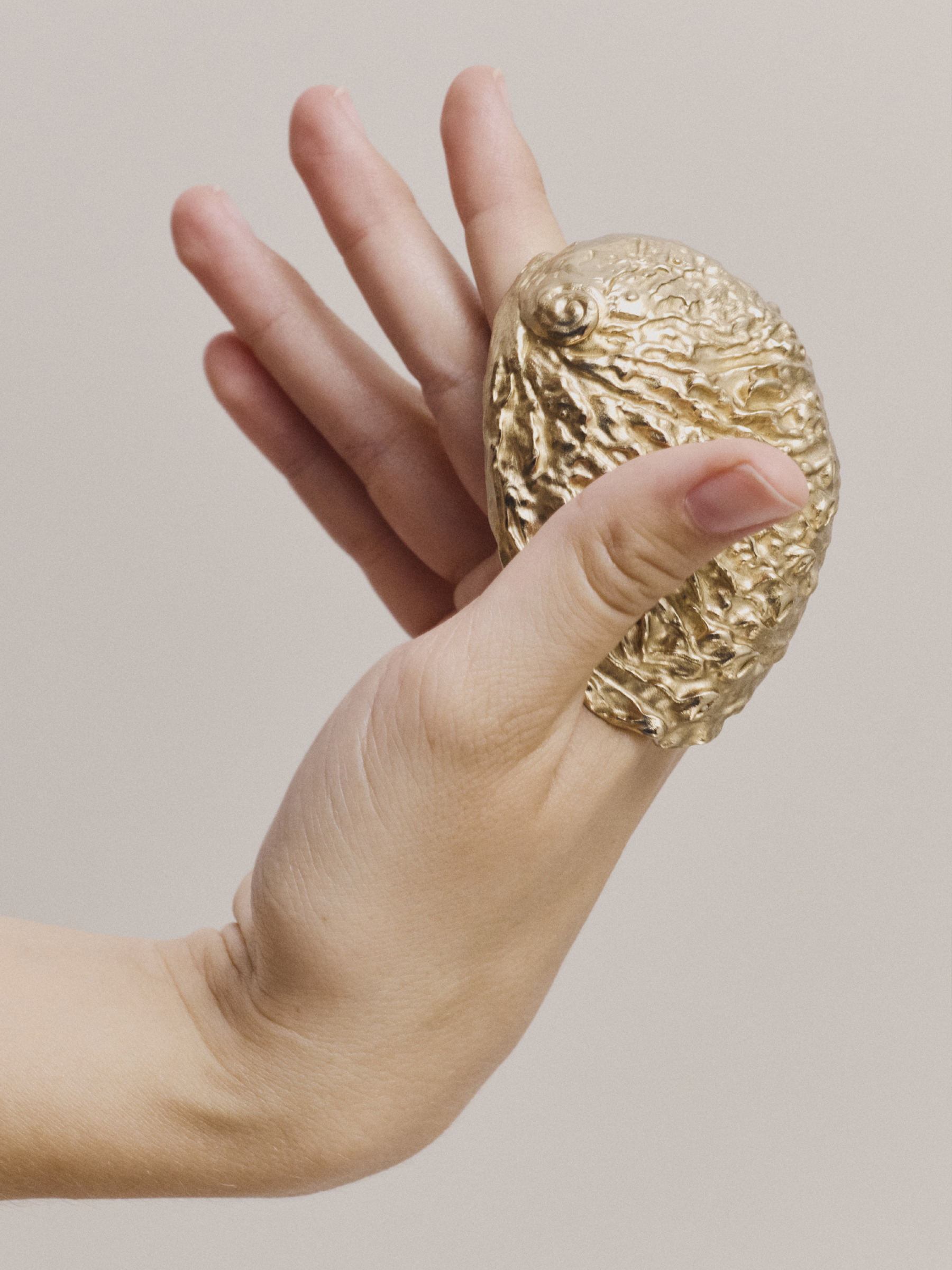 Ana Domínguez Studio: Abalone X Acierta (Fig. 8)