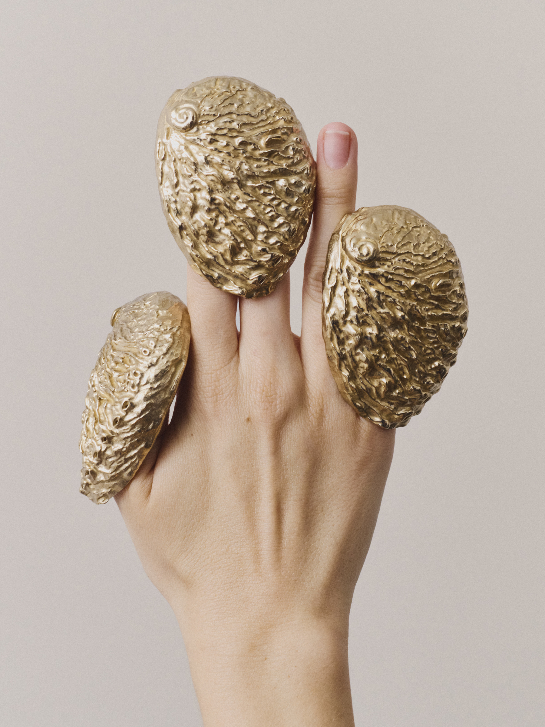 Ana Domínguez Studio: Abalone X Acierta (Fig. 10)