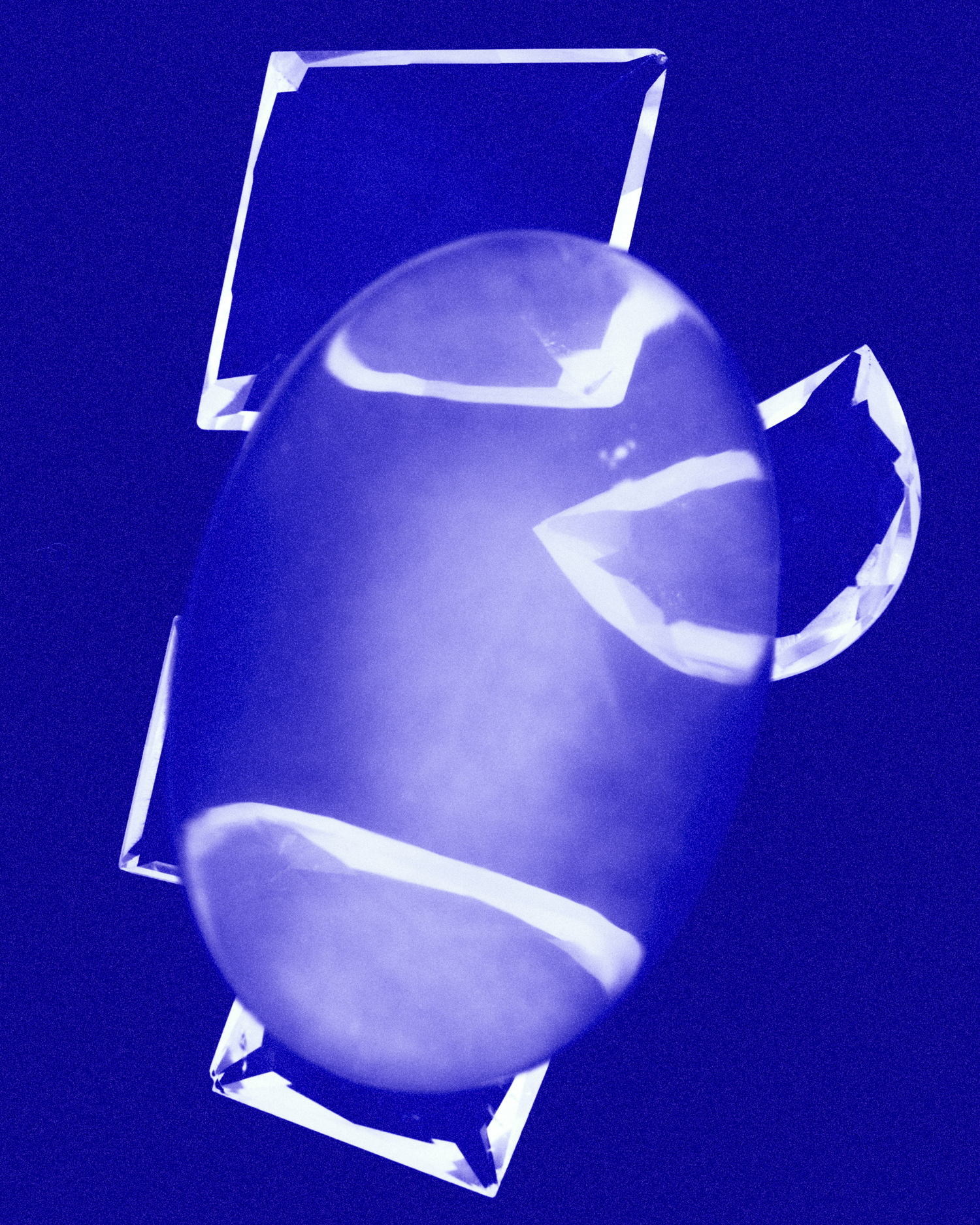 Ana Domínguez Studio: Cyanotypes x Laura Brichs (Fig. 3)