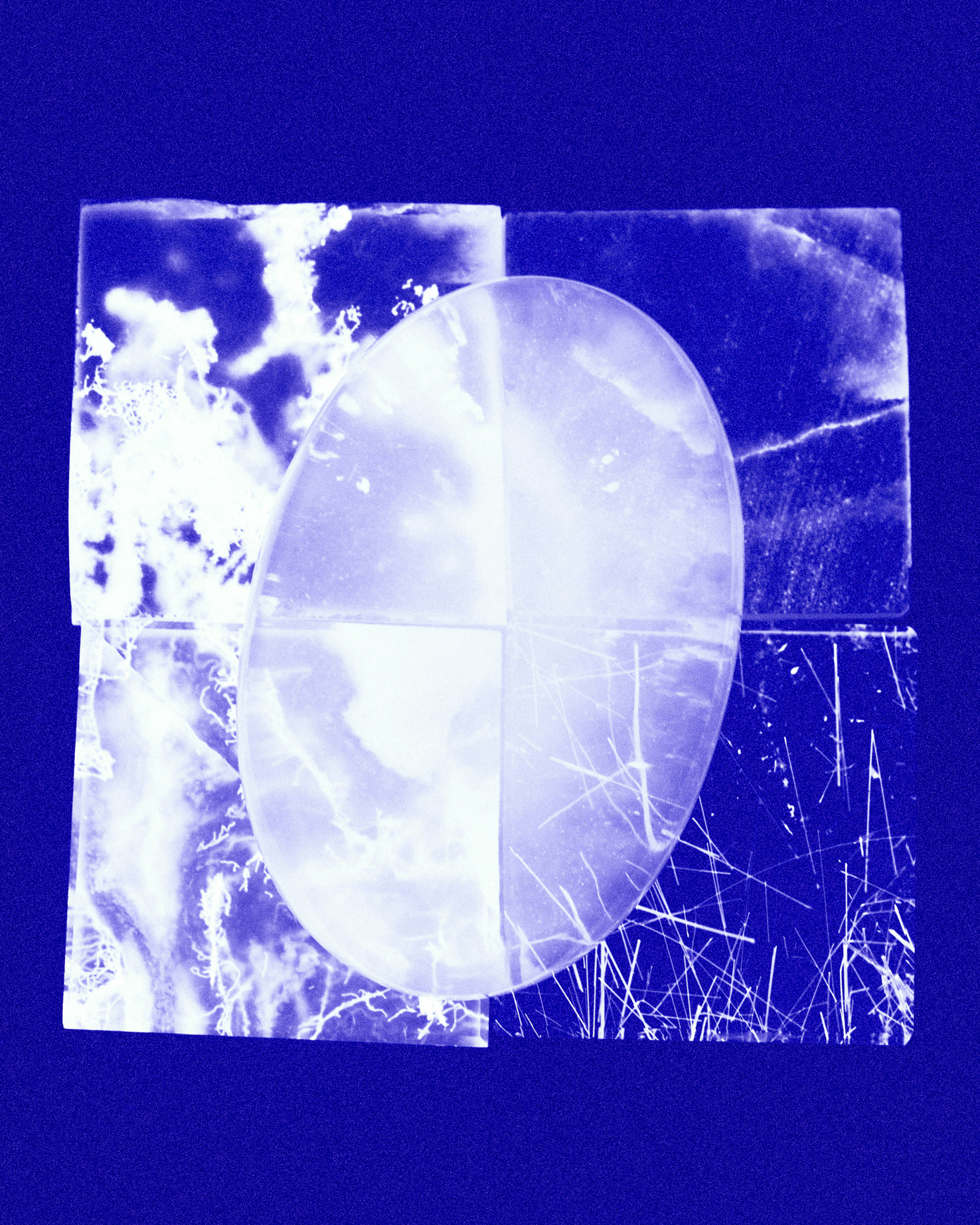 Ana Domínguez Studio: Cyanotypes x Laura Brichs (Fig. 2)