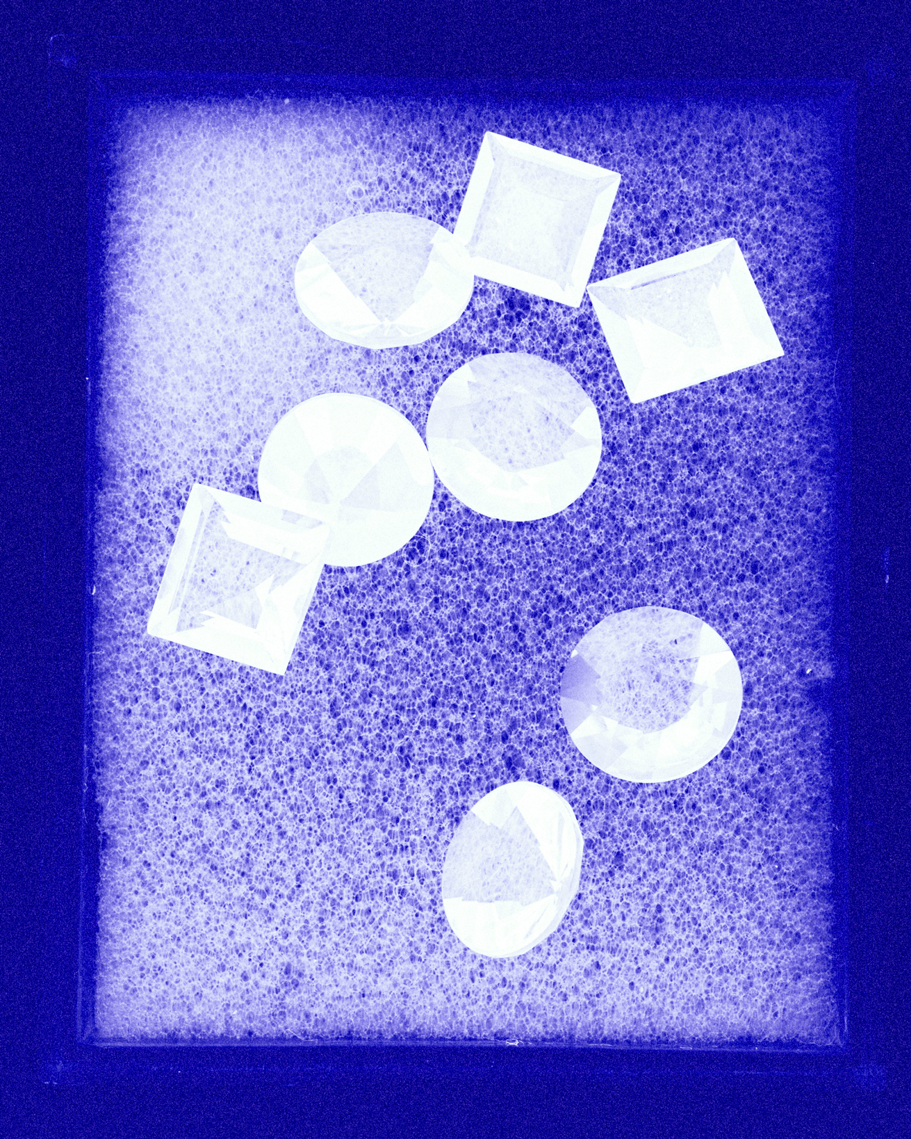 Ana Domínguez Studio: Cyanotypes x Laura Brichs (Fig. 7)